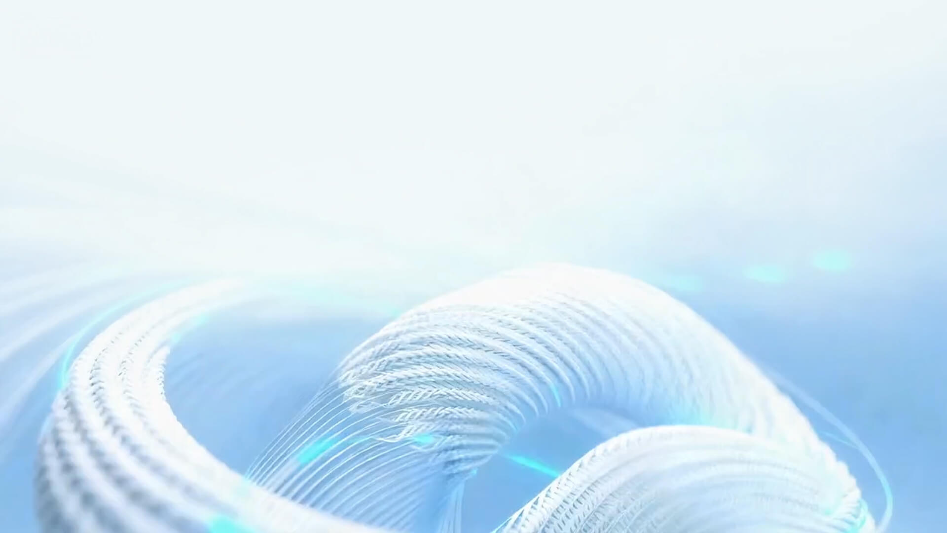 官方网站建设
