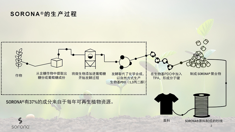 官方网站建设
